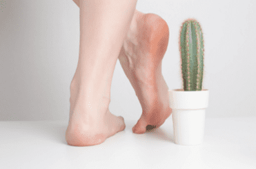 Feet beside cactus plant